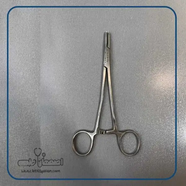 پنس سوزنگیر