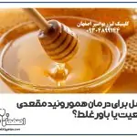 عسل برای درمان بواسیر واقعی است یا باور غلط؟