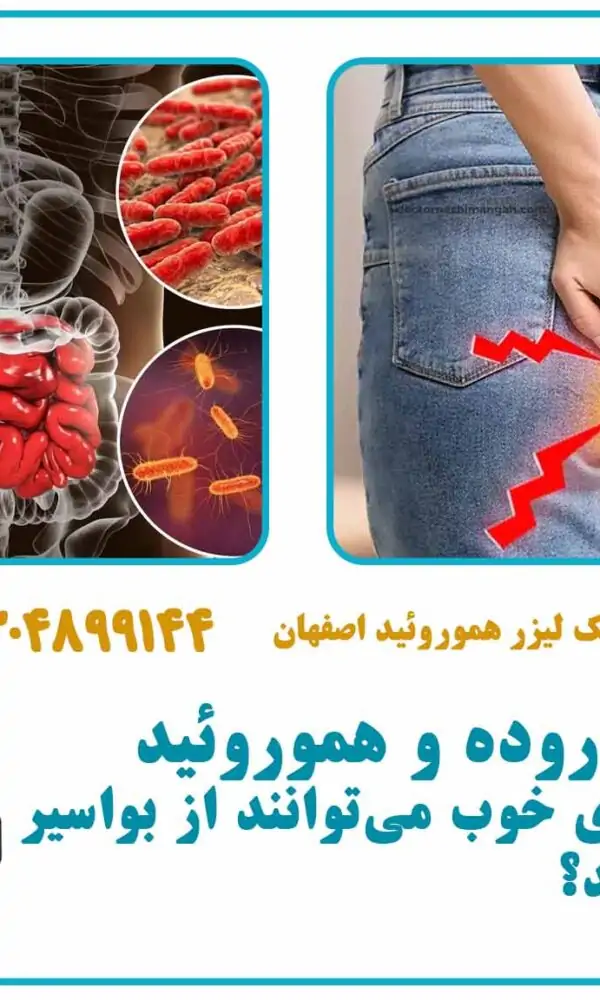 میکروبیوم روده و هموروئید: آیا باکتری‌های خوب می‌توانند از بواسیر جلوگیری کنند؟